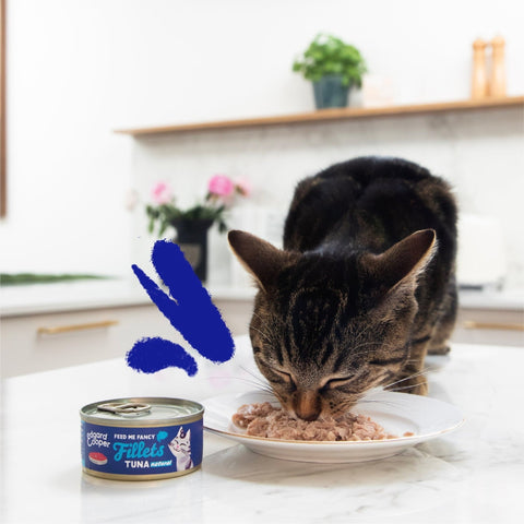 EDGARD & COOPER Cat Tuna Fillets Complementary Food - Pets Villa