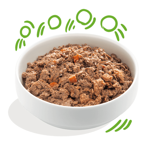 EDGARD & COOPER Dog Grain - free Lamb and Beef - Pets Villa