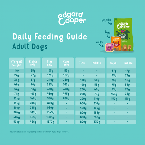 EDGARD & COOPER Dog Grain - free Salmon and Turkey - Pets Villa