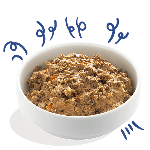EDGARD & COOPER Dog Grain - free Salmon and Turkey - Pets Villa