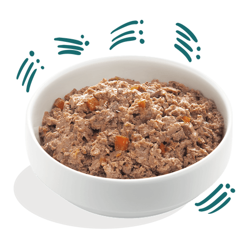 EDGARD & COOPER Dog Organic Grain - free Glorious Fish - Pets Villa