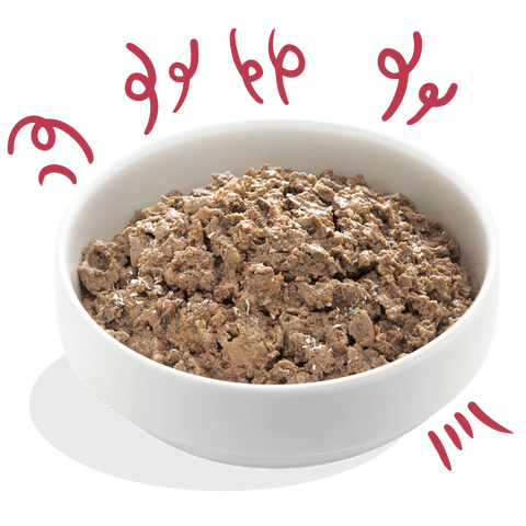 EDGARD & COOPER Dog Organic Grain - free Marvellous Beef - Pets Villa