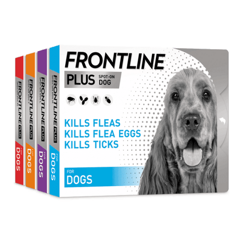 FRONTLINE PLUS® Flea and Tick Treatment For Dogs - Pets Villa