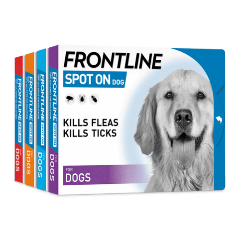 FRONTLINE® Spot On Flea And Tick Treatment For Dogs - Pets Villa