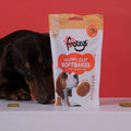 FROZZYS Happy Gut Softbakes for Dogs 80g - Pets Villa