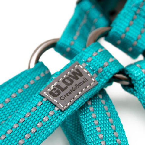 GREAT & SMALL Dog Glow Harness Turquoise - Pets Villa