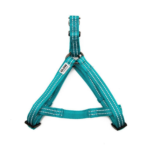 GREAT & SMALL Dog Glow Harness Turquoise - Pets Villa