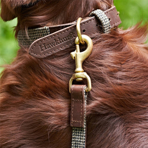 GREAT & SMALL Hawkhurst Leather Dog Collar Tweed - Pets Villa