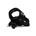 GREAT & SMALL Little&Lively Black Mesh Dog Harness with Velcro - Pets Villa