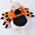 Halloween Orange Spider Pet Costume - Pets Villa