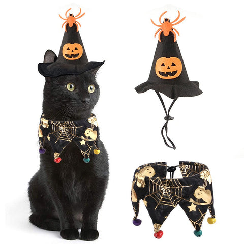 Halloween Pet Hat and Decorative Collar - Pets Villa