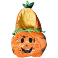 Halloween Pumpkin Pet Costume - Pets Villa