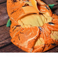 Halloween Pumpkin Pet Costume - Pets Villa