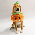 Halloween Pumpkin Pet Costume - Pets Villa