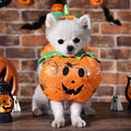 Halloween Pumpkin Pet Costume - Pets Villa