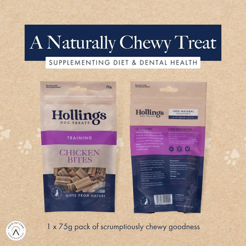 HOLLINGS Natural Chicken Dog Training Treats 75g - Pets Villa