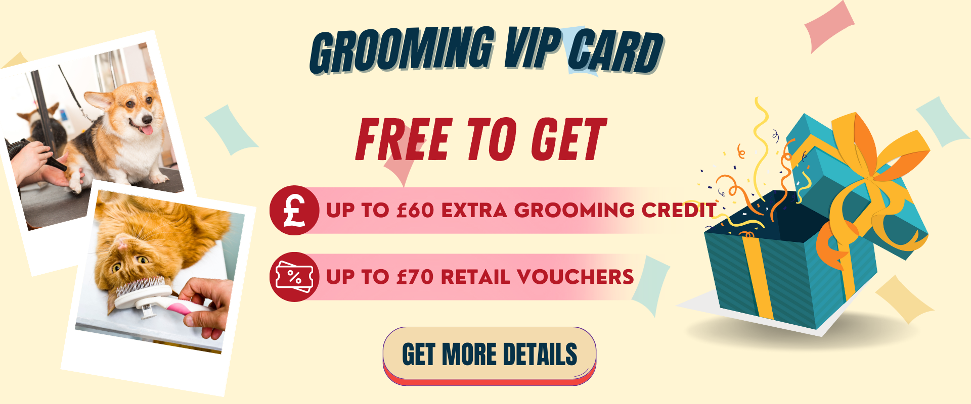 Pets Villa Best Selling Pet Products UK Pet's Daily Needs