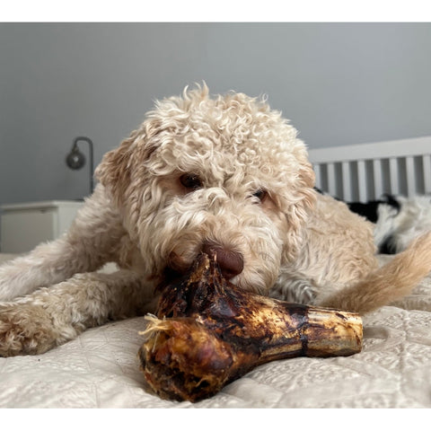 JR Ostrich Knuckle Bone