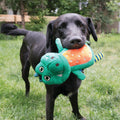 KONG Whoopz Warthog Sm - Pets Villa