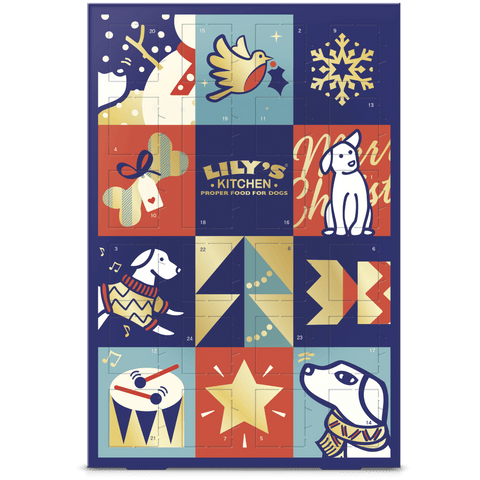 LILY'S KITCHEN Dog Christmas Advent Calendar - Pets Villa