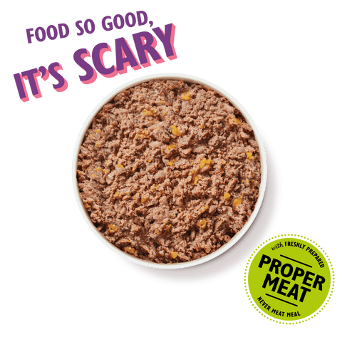 LILY'S KITCHEN Hocus Pocus Stew for Dogs 400g - Pets Villa