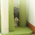 MARTINA Plant Style Cat Climbing Tree - Pets Villa