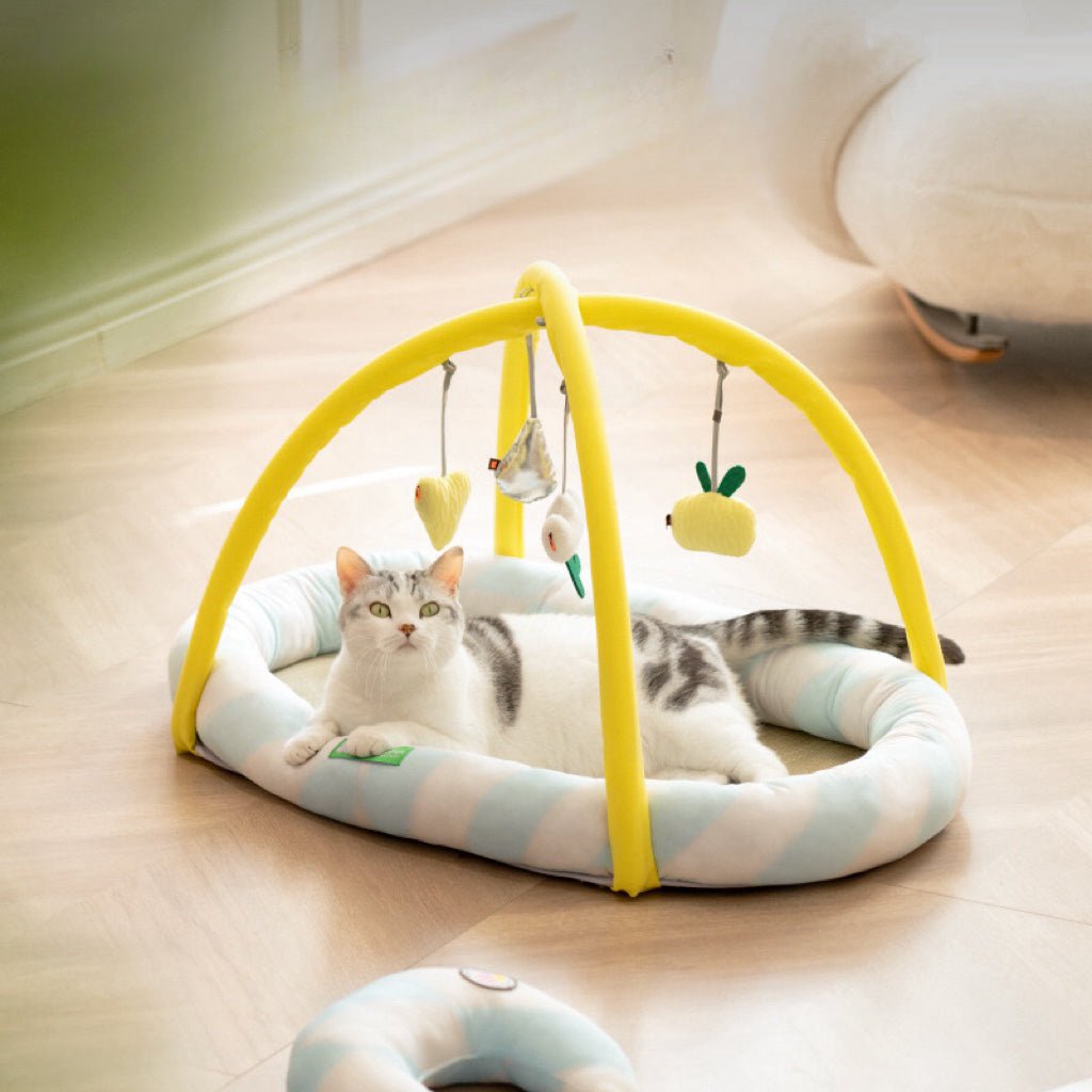 MEWOOFUN Natural Rush Hanging Toys Cat Bed - Pets Villa