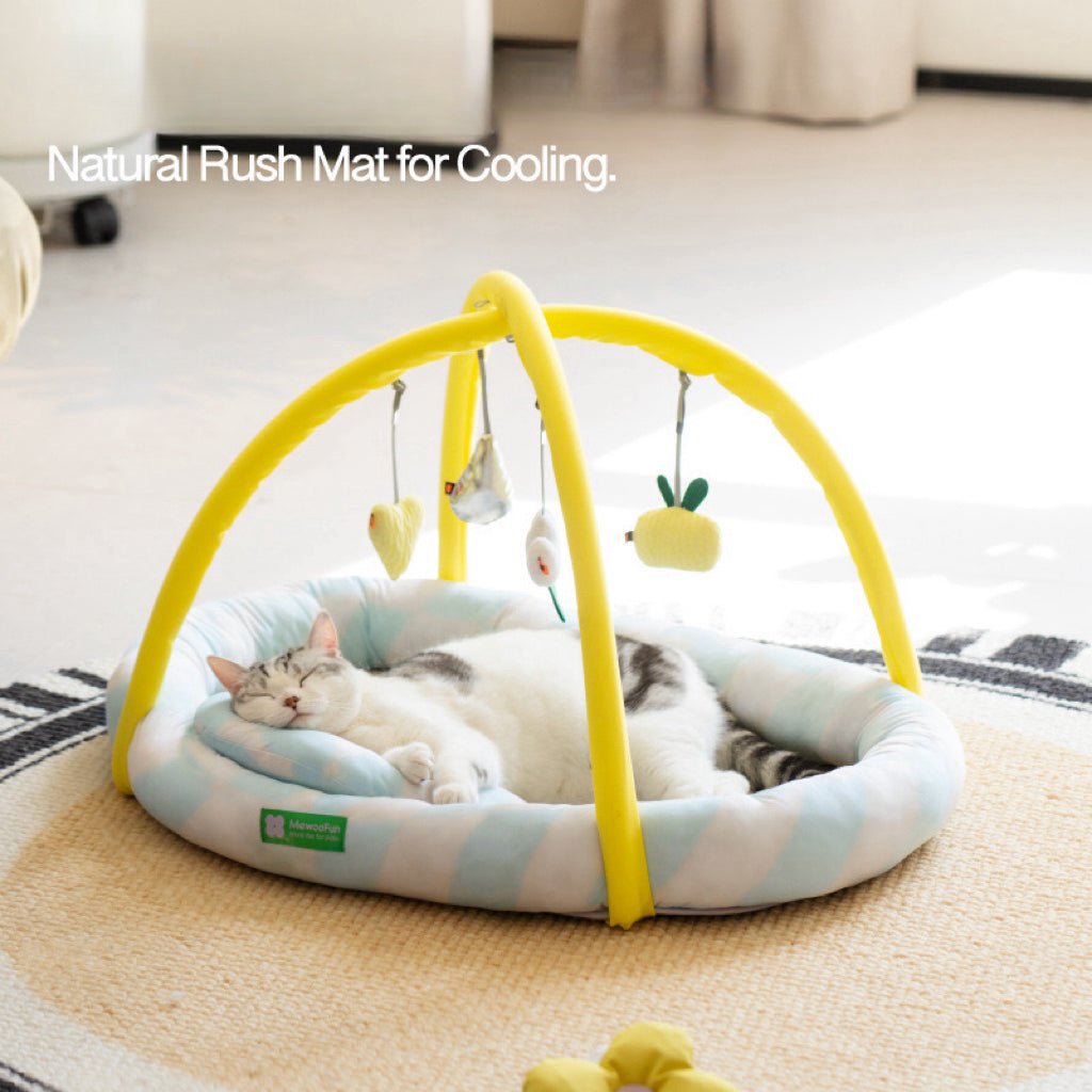 MEWOOFUN Natural Rush Hanging Toys Cat Bed - Pets Villa