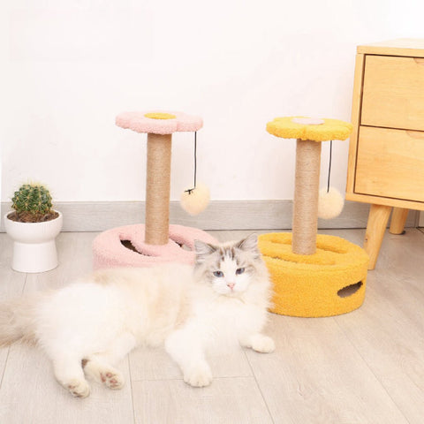 MIAOFAIRY Flower Scratcher with Ball Track - Pets Villa