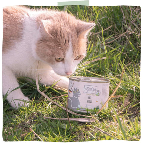 MJAMJAM Bio Beef Cat Food - Pets Villa