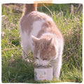MJAMJAM Bio Chicken Cat Food - Pets Villa