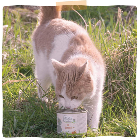 MJAMJAM Bio Chicken Cat Food - Pets Villa