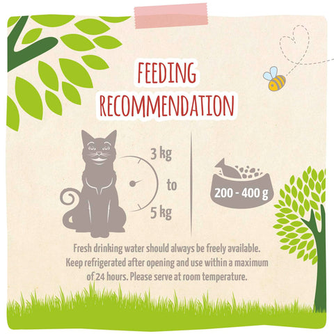 MJAMJAM Bio Pork Cat Food - Pets Villa
