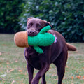 Plush Cactus Dog Toy – ANCOL Cuddley with Squeaker, 30cm