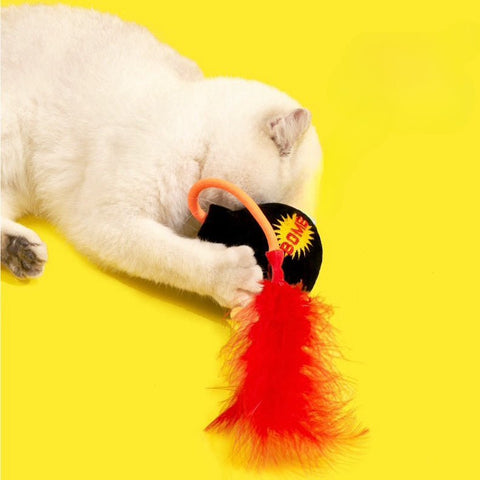 PURLAB Fire Extinguisher or Bomb Catnip Toys - Pets Villa