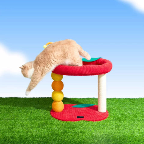 PURLAB Red Apple Cat Scratcher & Bed with Caterpillar Design - Pets Villa