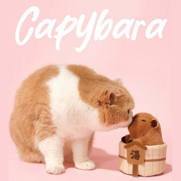 PURLAB Soft Capybara Cat Toy