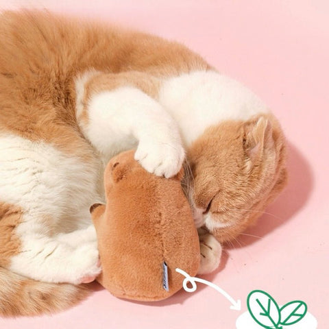 PURLAB Soft Capybara Cat Toy - Pets Villa