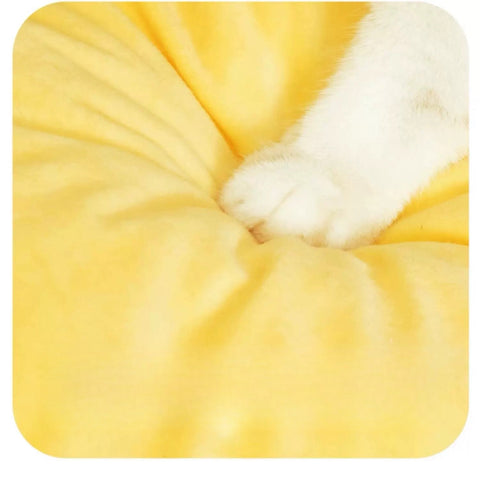 PURLAB Tempura Pet Bed - Pets Villa