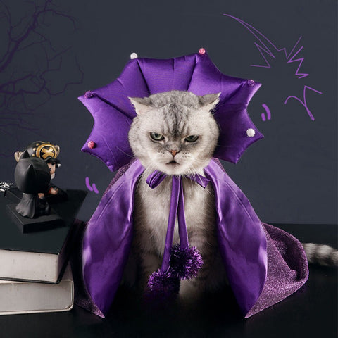 Purple Dracula Halloween Pet Cape - Pets Villa