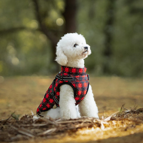 Red Checked Pet Coat - Pets Villa