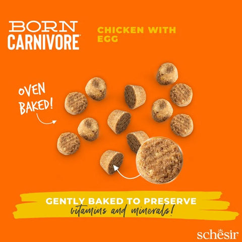 SCHESIR Born Carnivore Adult Cat Chicken with Egg - Pets Villa