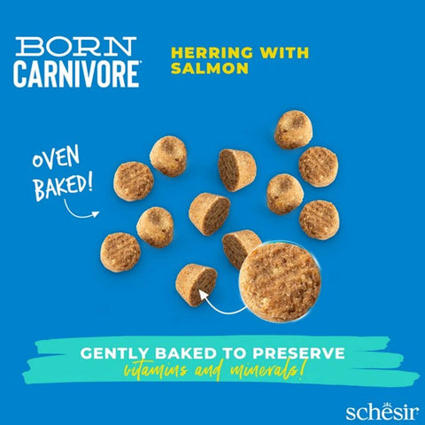 SCHESIR Born Carnivore Adult Cat Herring with Salmon - Pets Villa