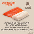 SCHESIR Wild Alaskan Fish Oil 250ml - Pets Villa