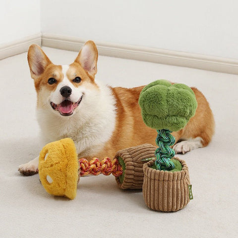 Soft Squeaky Vegetable Chew Toy - Pets Villa