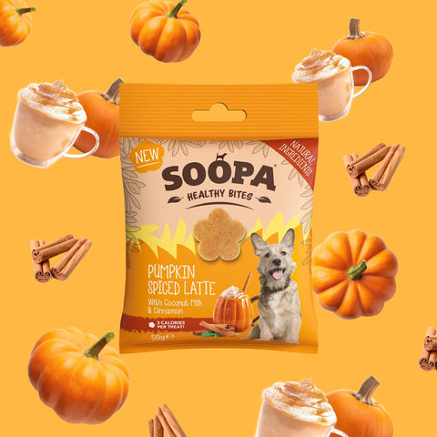 SOOPA Pumpkin Spiced Latte Healthy Bites 50g - Pets Villa