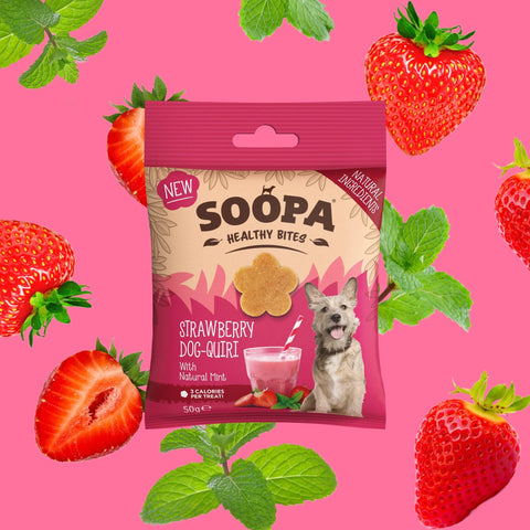 SOOPA Strawberry Dog - Quiri Healthy Bites 50g - Pets Villa