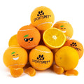 SPORTSPET Tennis Balls Mandarins 12 pack - Pets Villa