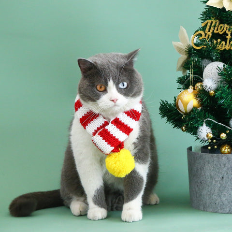 Striped Christmas Pet Scarf - Pets Villa