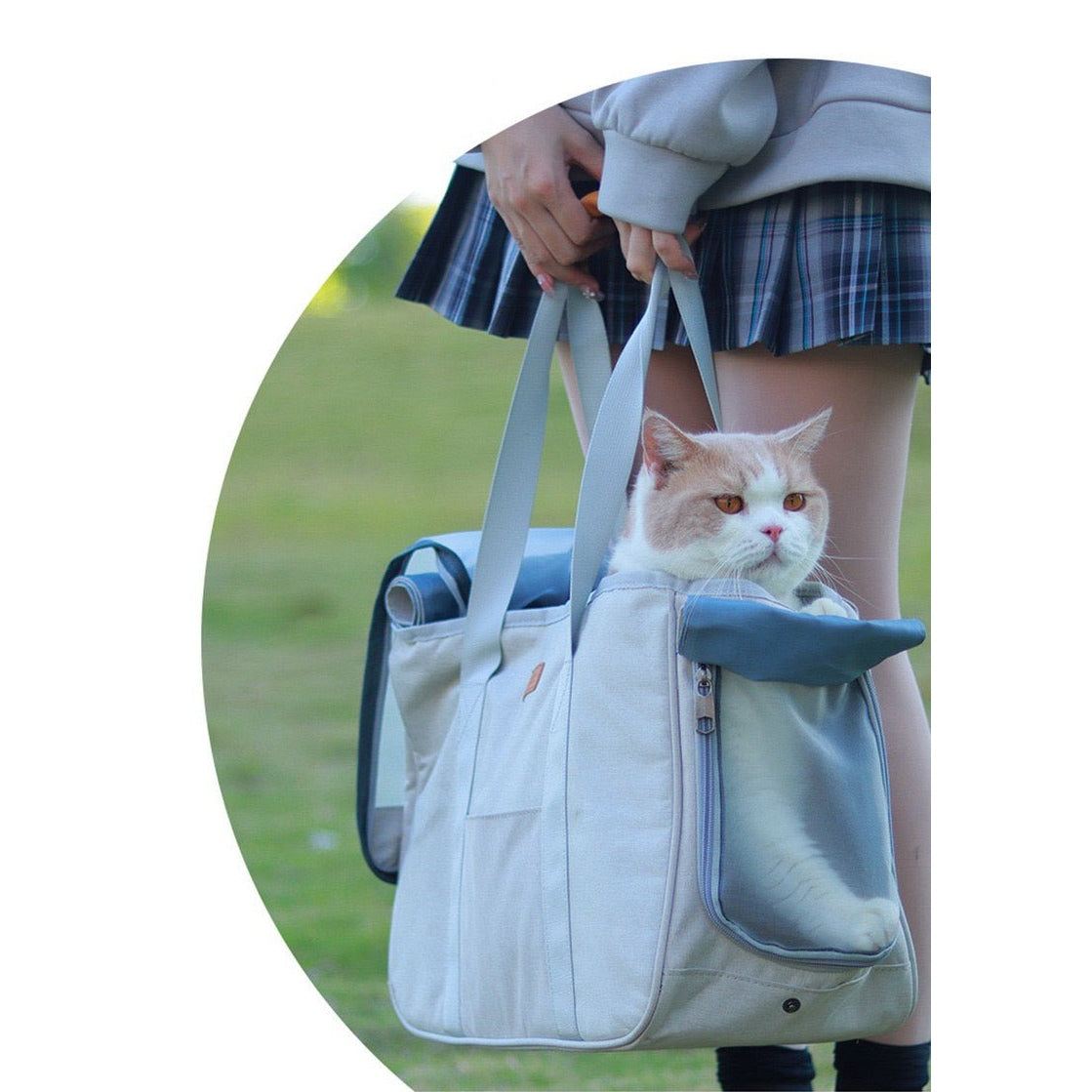 Chic pet carrier best sale